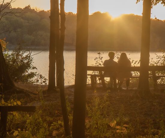 Two people sit together on a bench by a lake, surrounded by trees, as the sun sets in the background, casting a warm golden light over the scene.